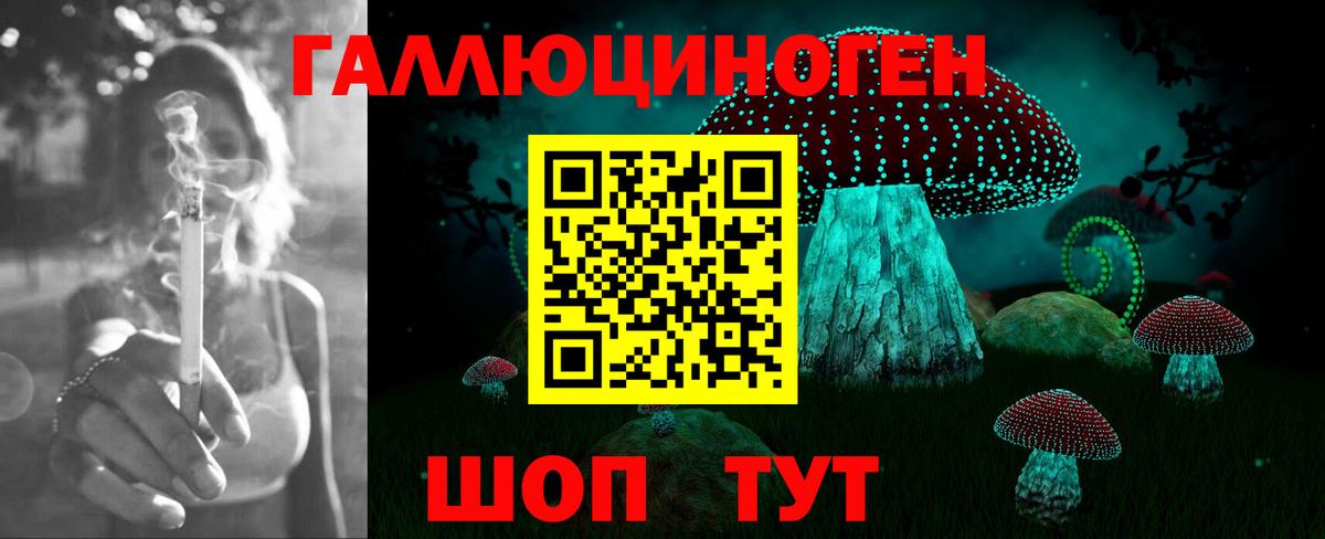 Псилоцибиновые грибы мицелий Зерноград
